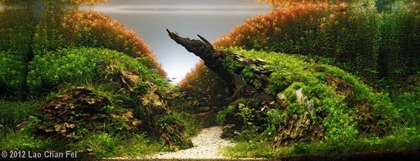 Lao Chan Fei (Chiny)